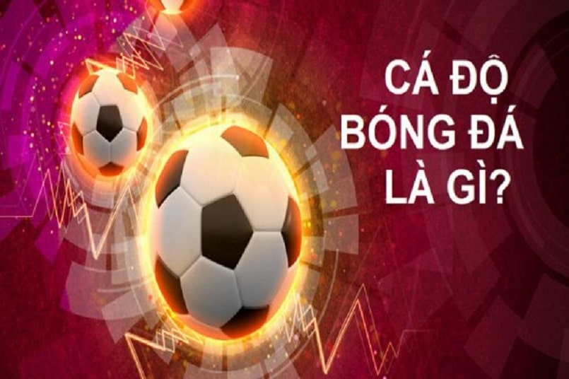 Cập nhật tin nhanh bóng đá cùng 007win hôm nay